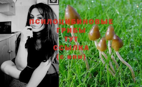 MDMA Аркадак