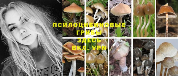 альфа пвп Армянск