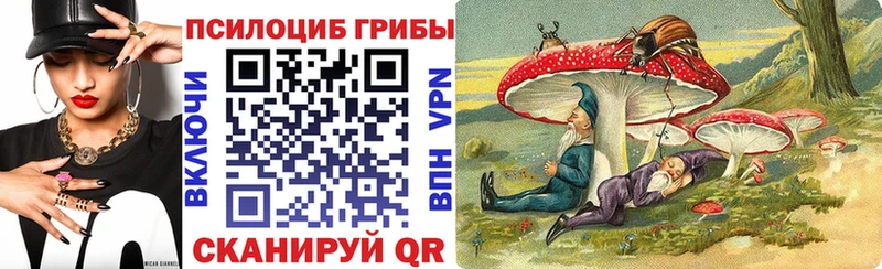Купить закладки  Михайлов  Галлюциногенные грибы Psilocybe 